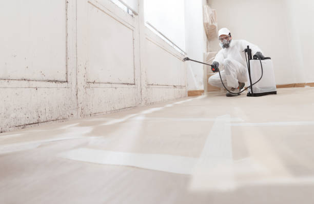 24/7 Emergency Mold Remediation experts in Linden, MI